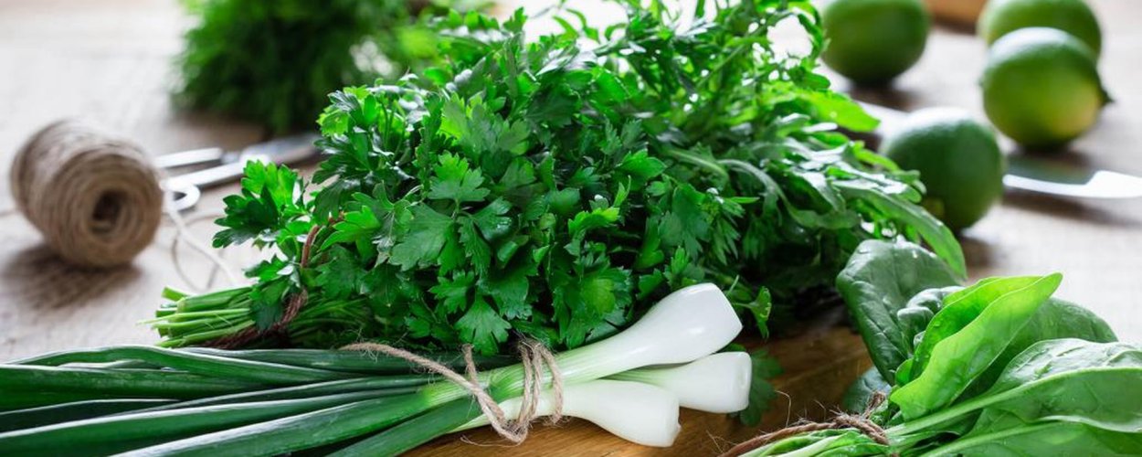 Петрушка укроп кинза базилик