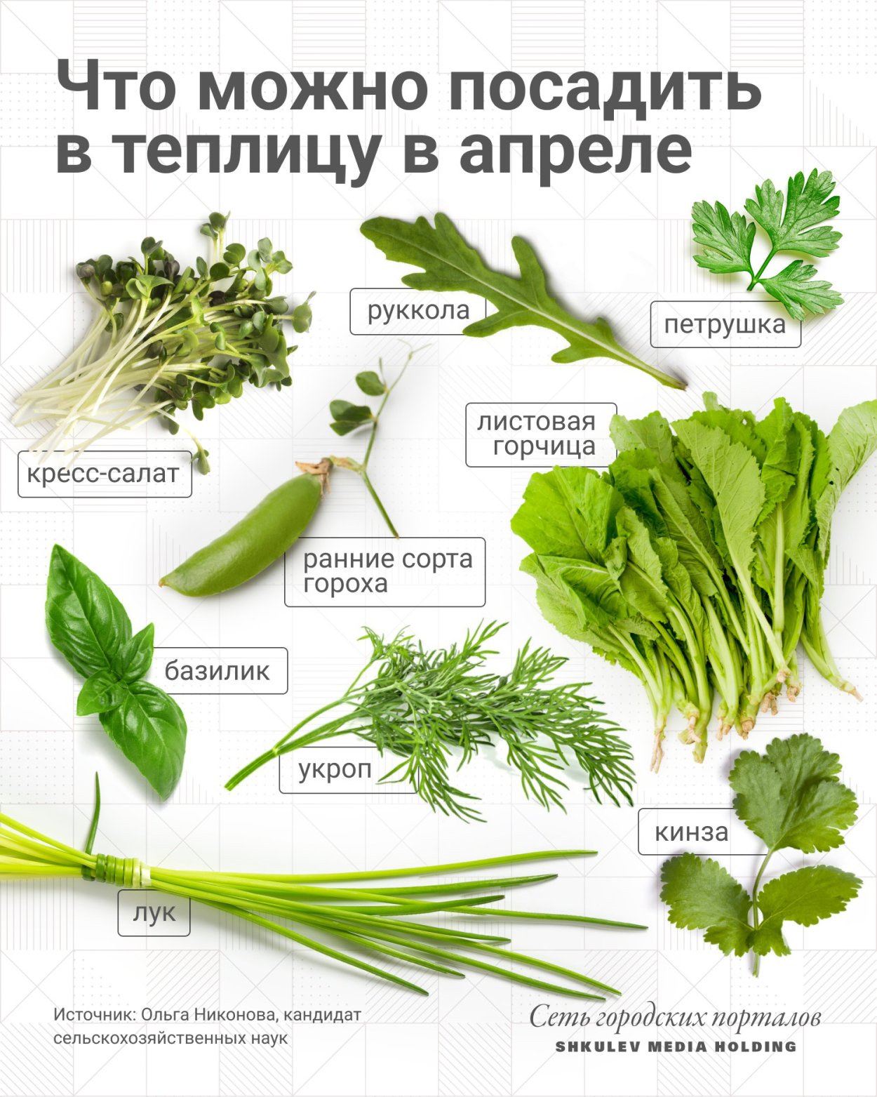 Всю зеленую зелень