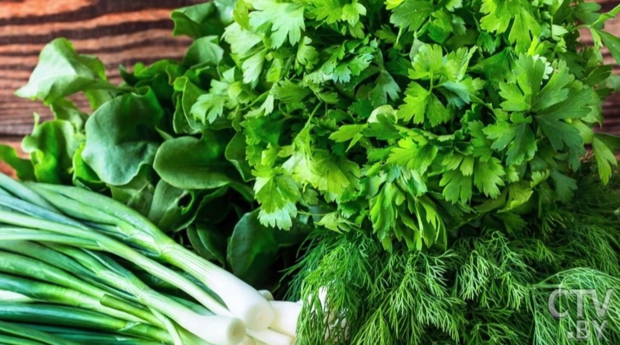 Лук укроп петрушка кинза