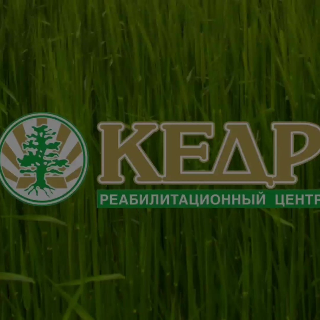 РНЦ кедр Красноярск