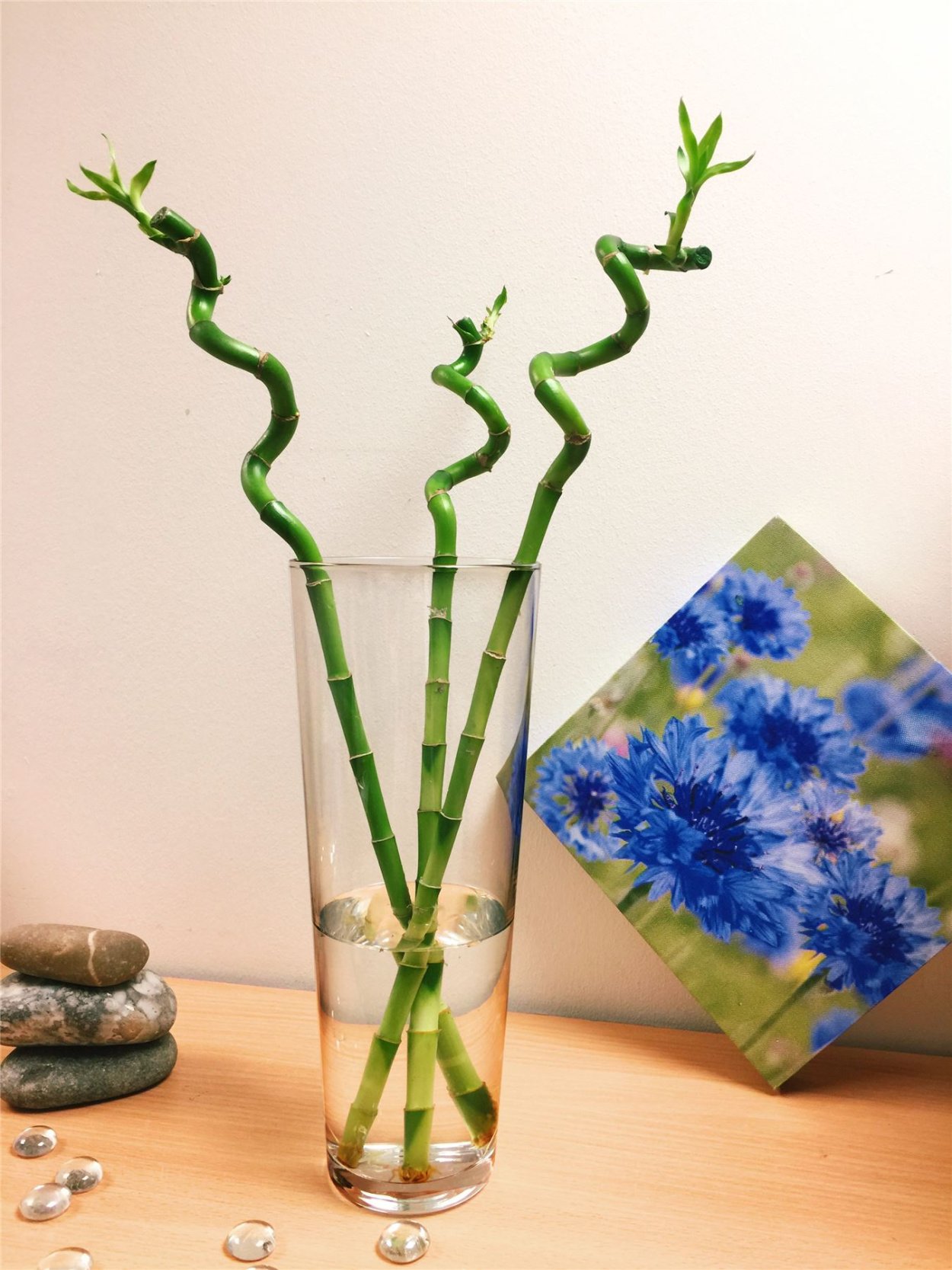 Вазы для бамбука