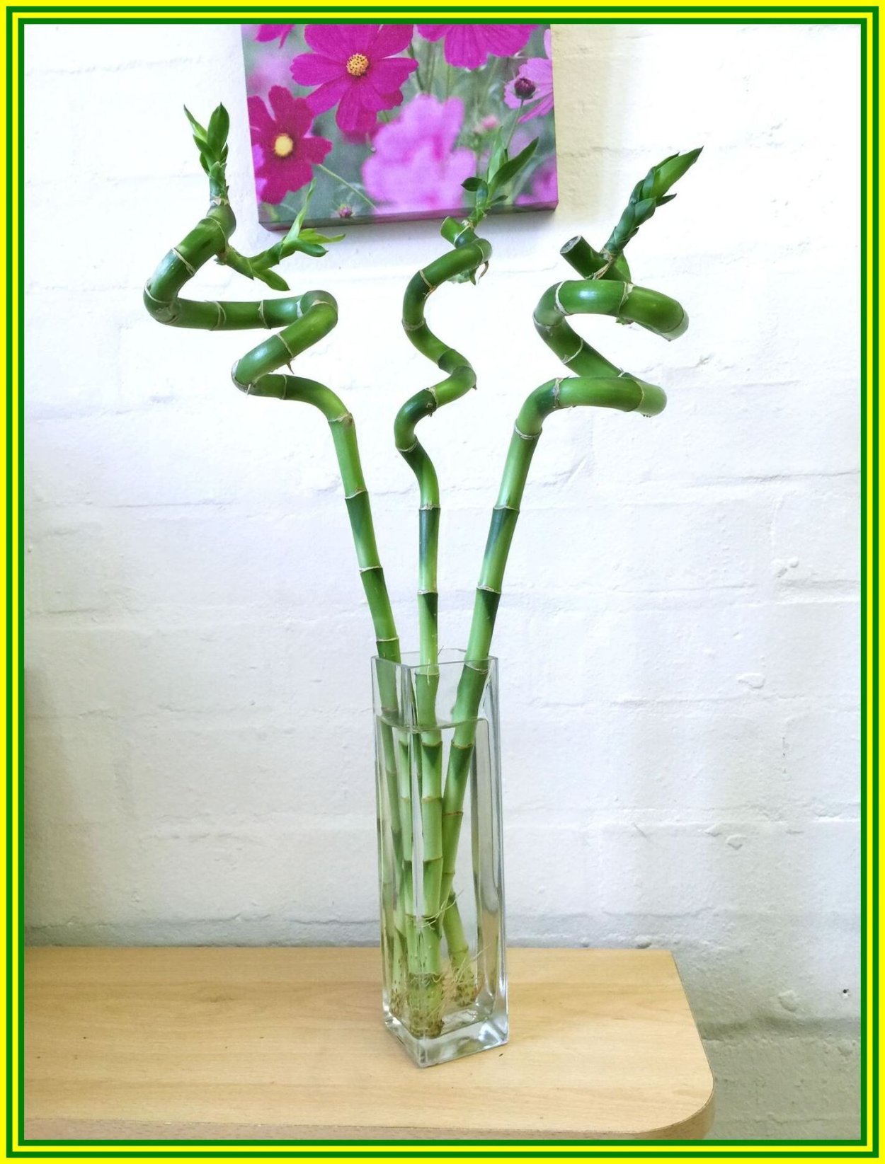 Ваза икеа для бамбука икеа