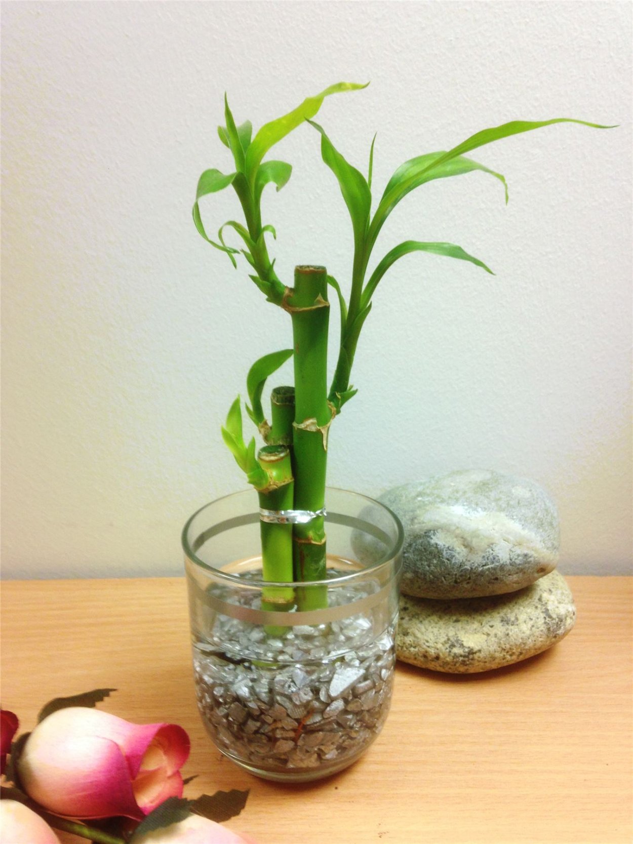 Ваза для бамбука стеклянная