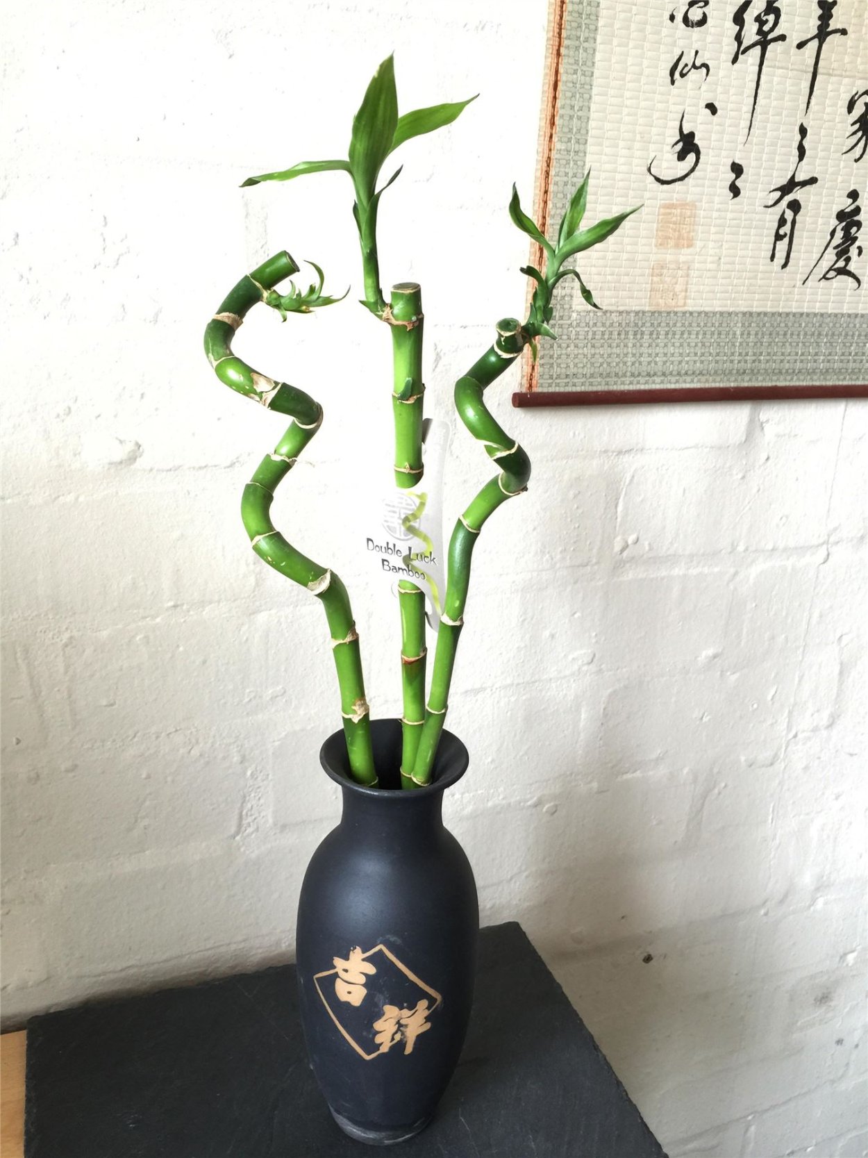 Бамбук Lucky спираль