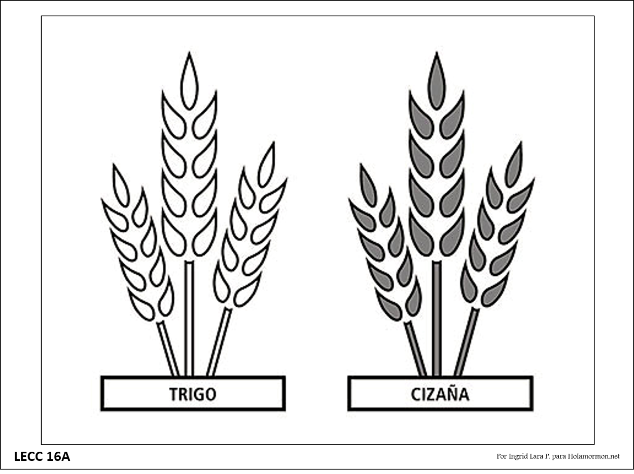 Колосья пшеницы вектор