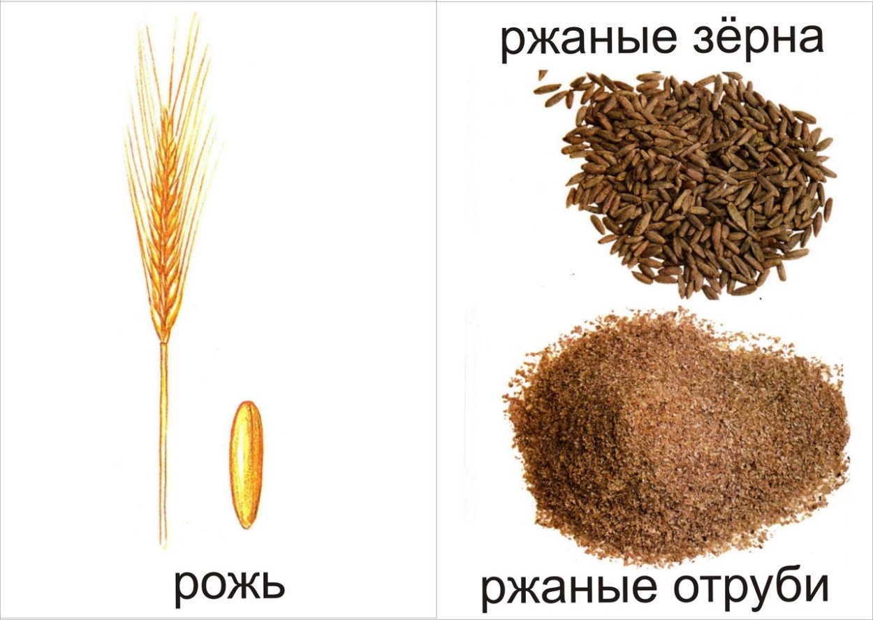 Злаки для детей