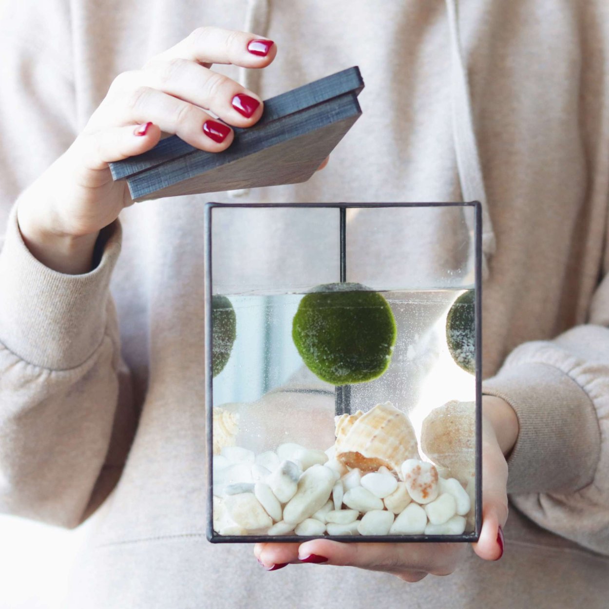 Маримо в банке