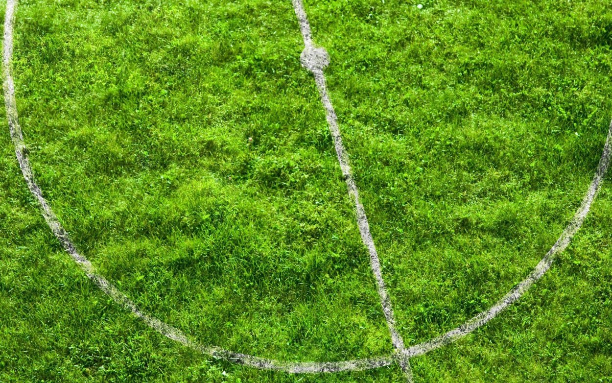 Футбольное поле трава