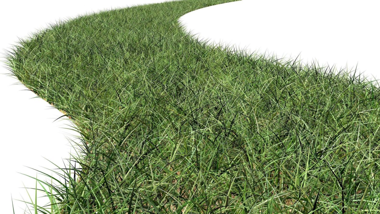 Газон на белом фоне