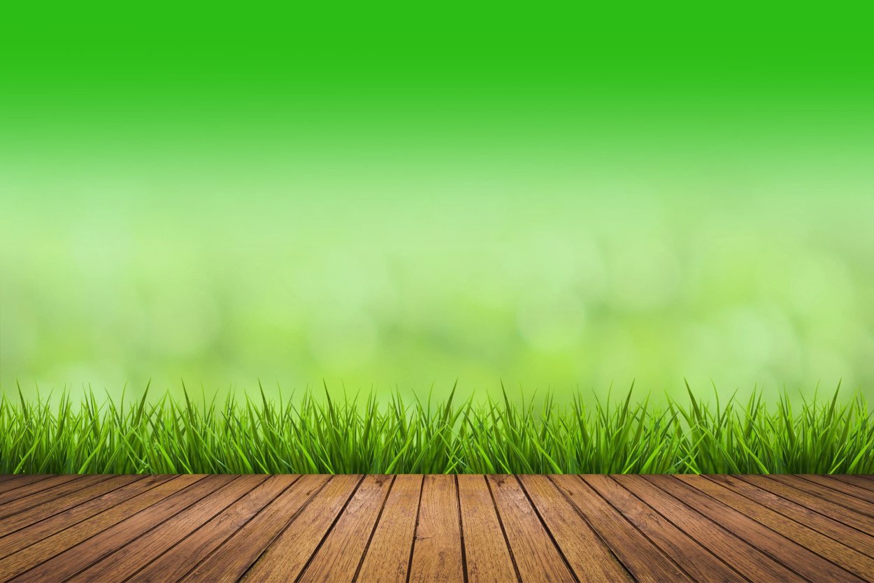 Зеленая трава фон