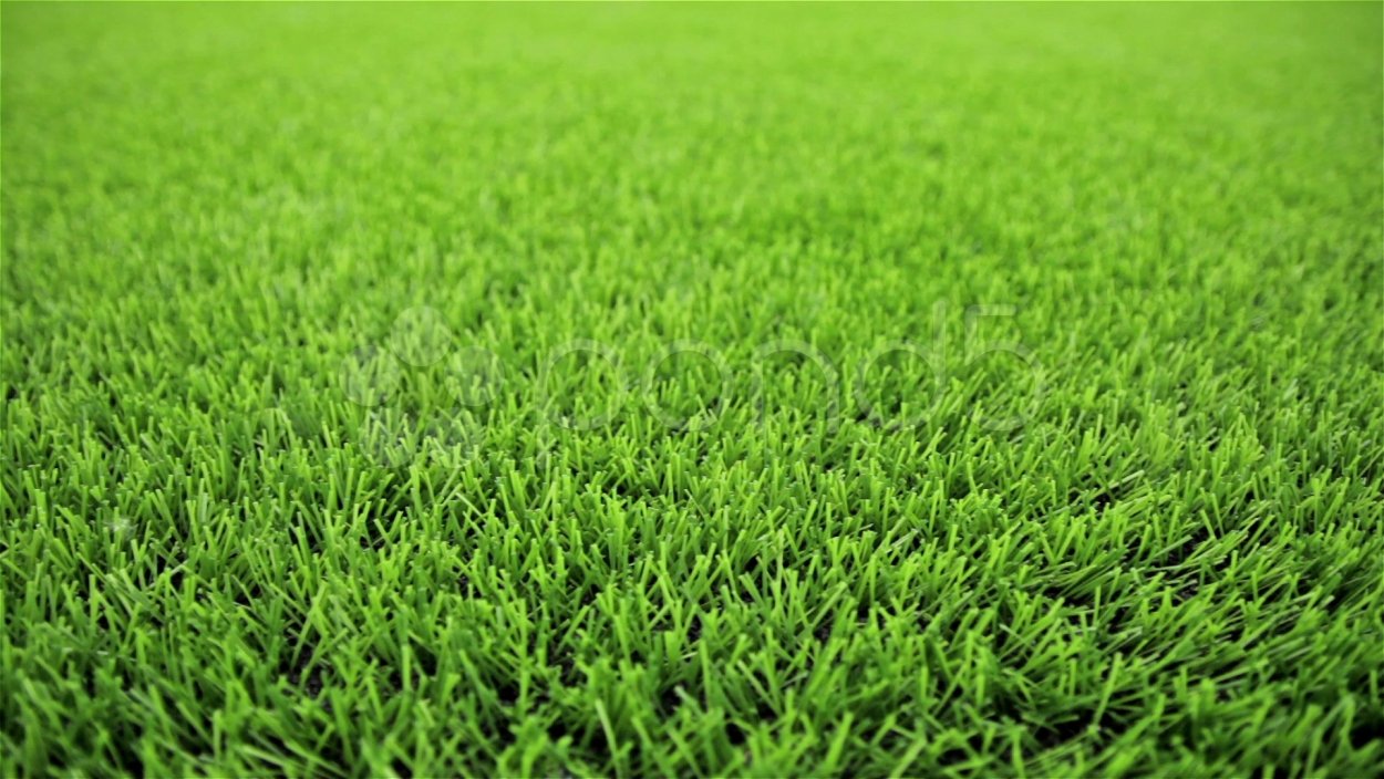 Газон вид сверху