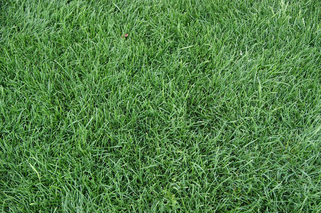 Искусственная трава grass 35мм