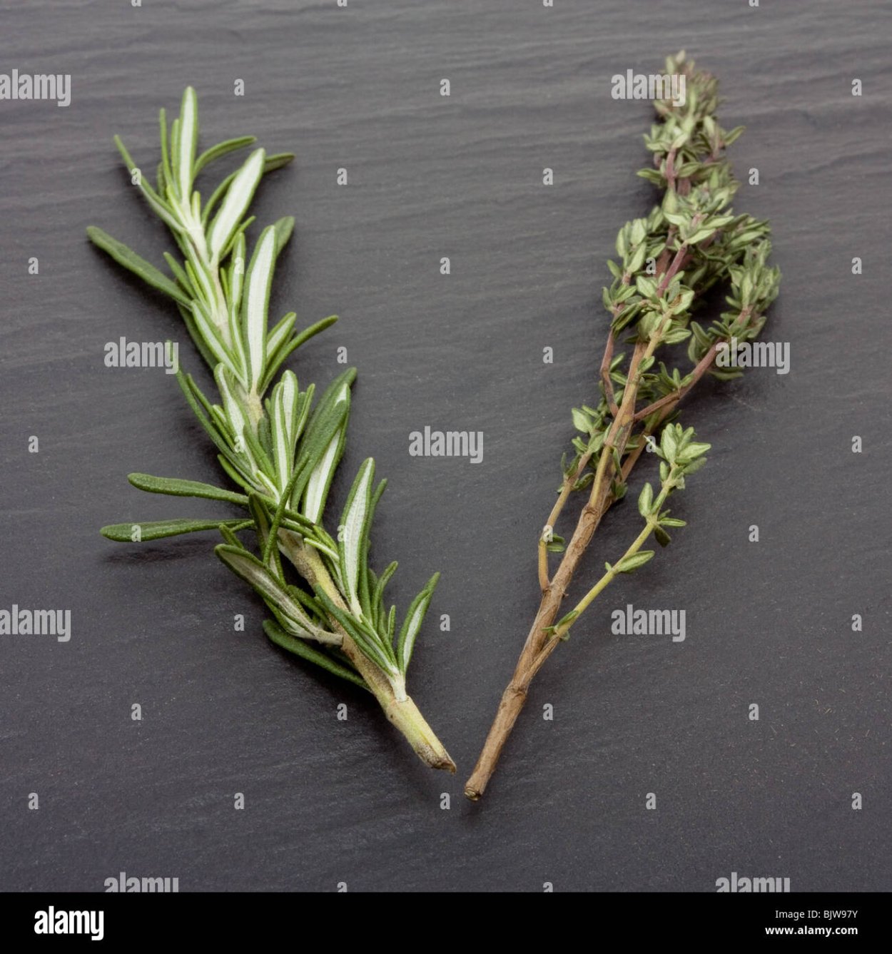 Розмарин и тимьян