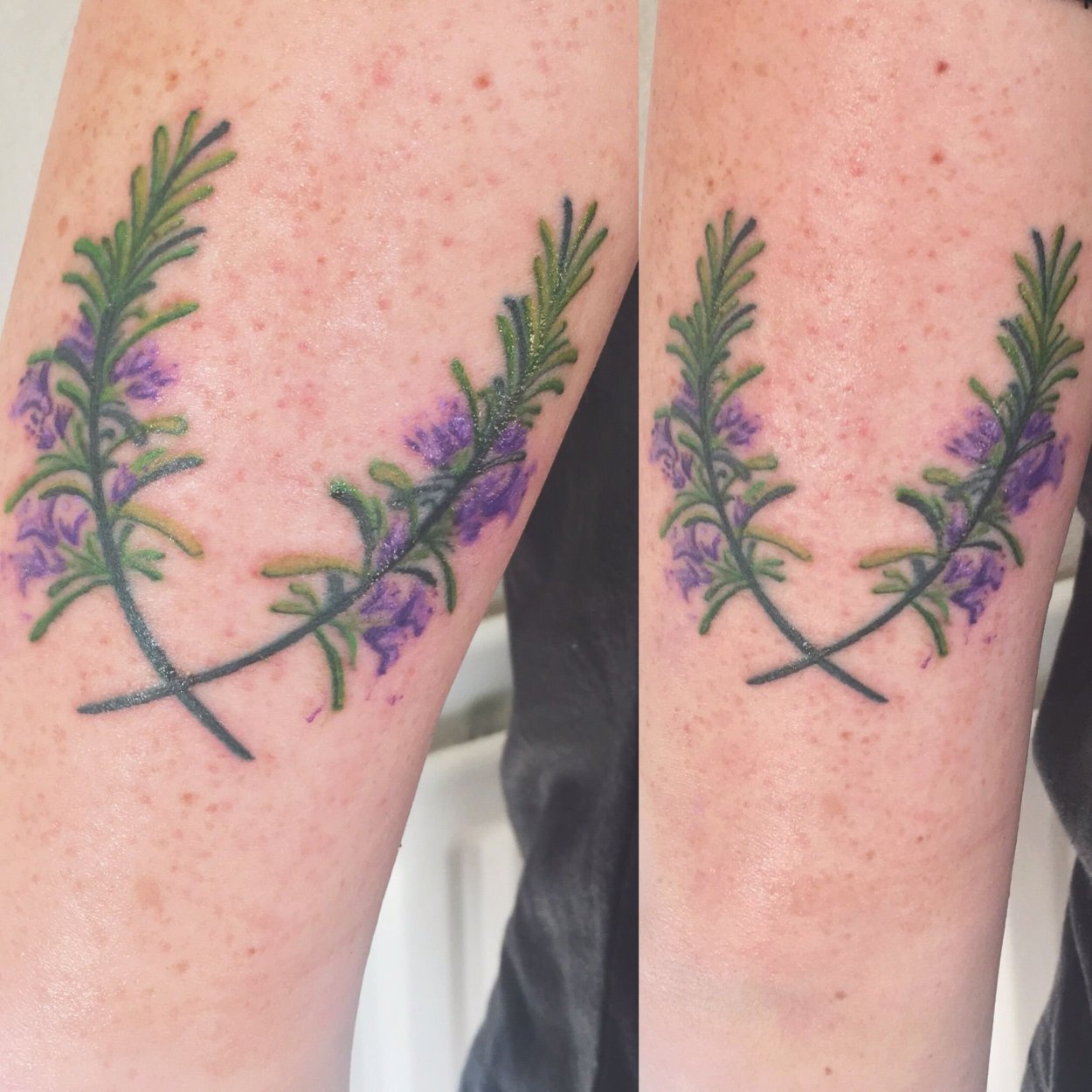 Ветка розмарина тату