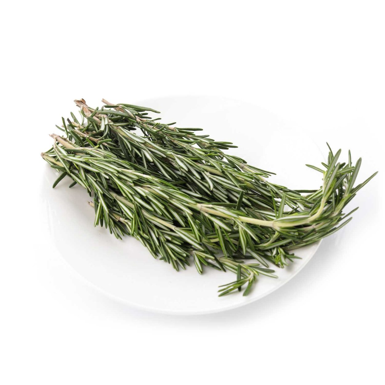 Пряная трава розмарин