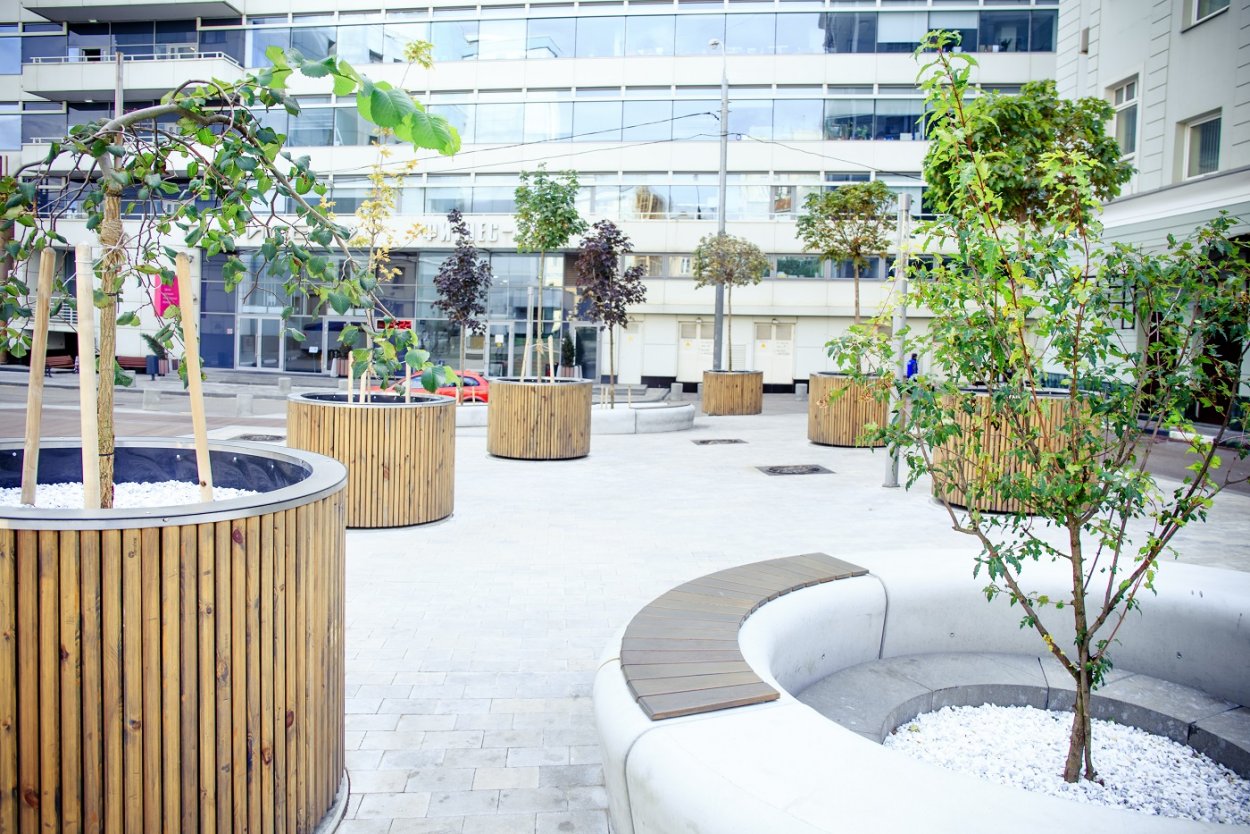 Уличное Озеленение в кадках