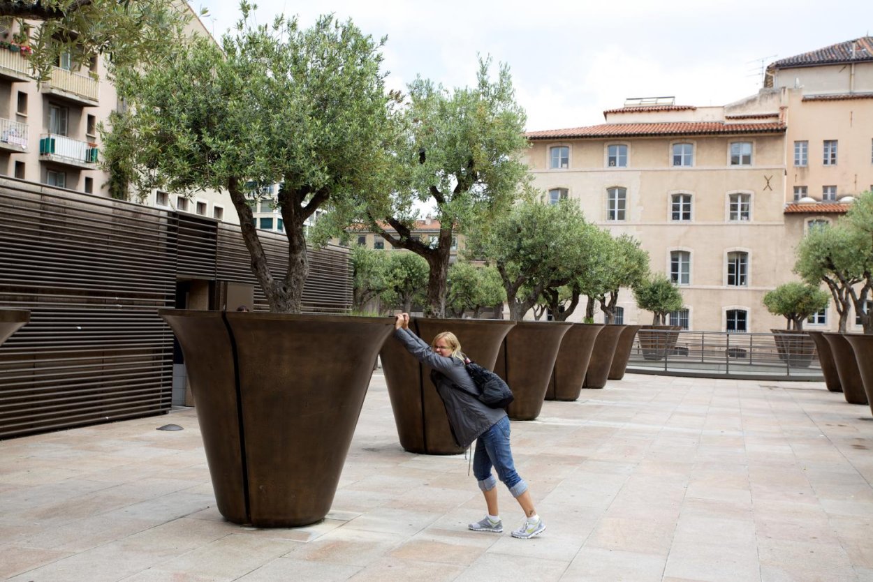 Деревья в кадках