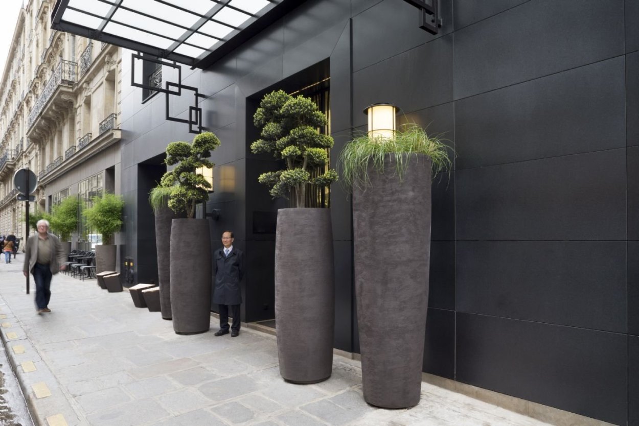 Озеленение в кадках