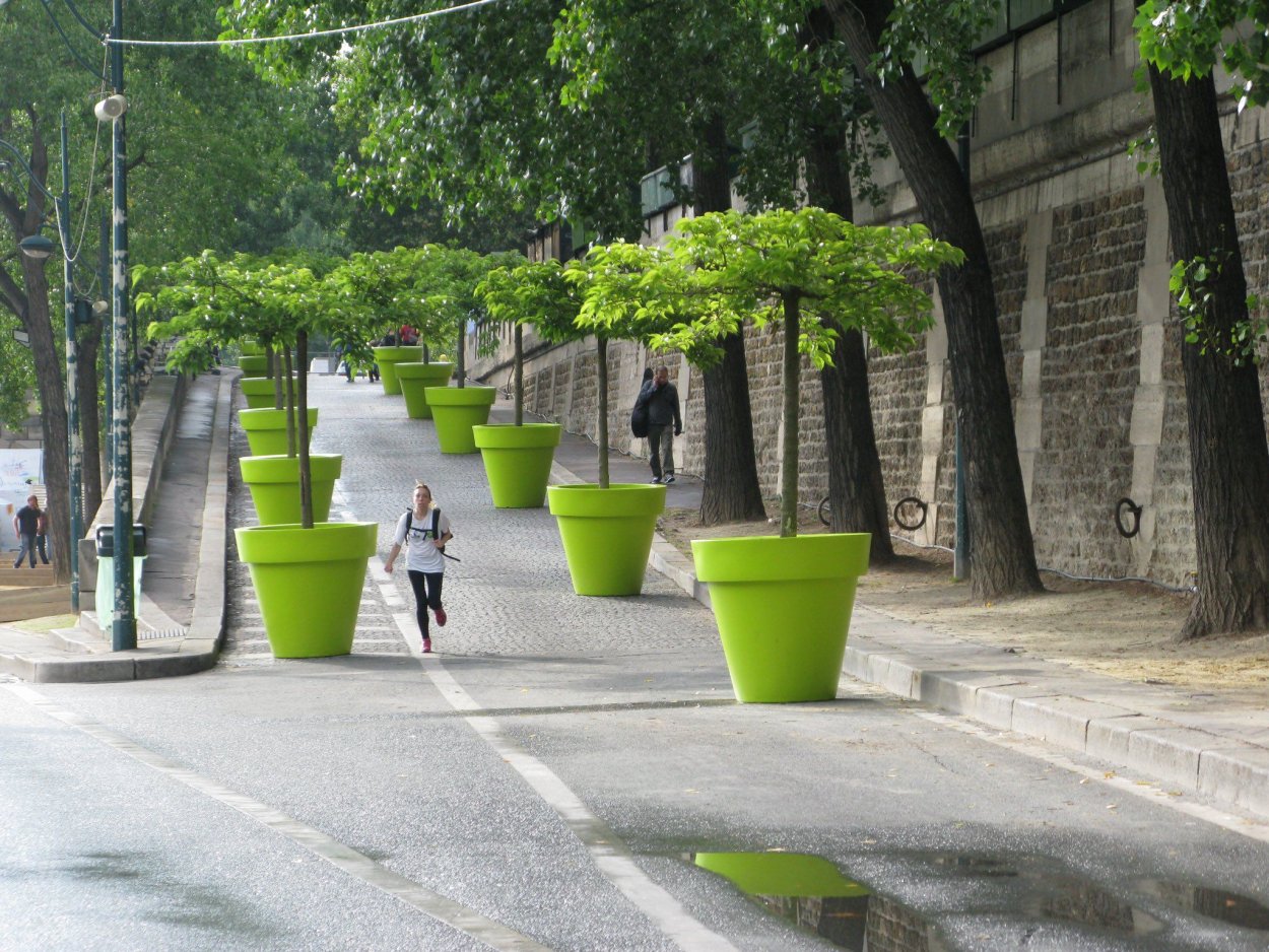 Контейнерное Озеленение в городе