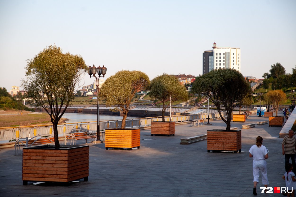 Ивы на набережной