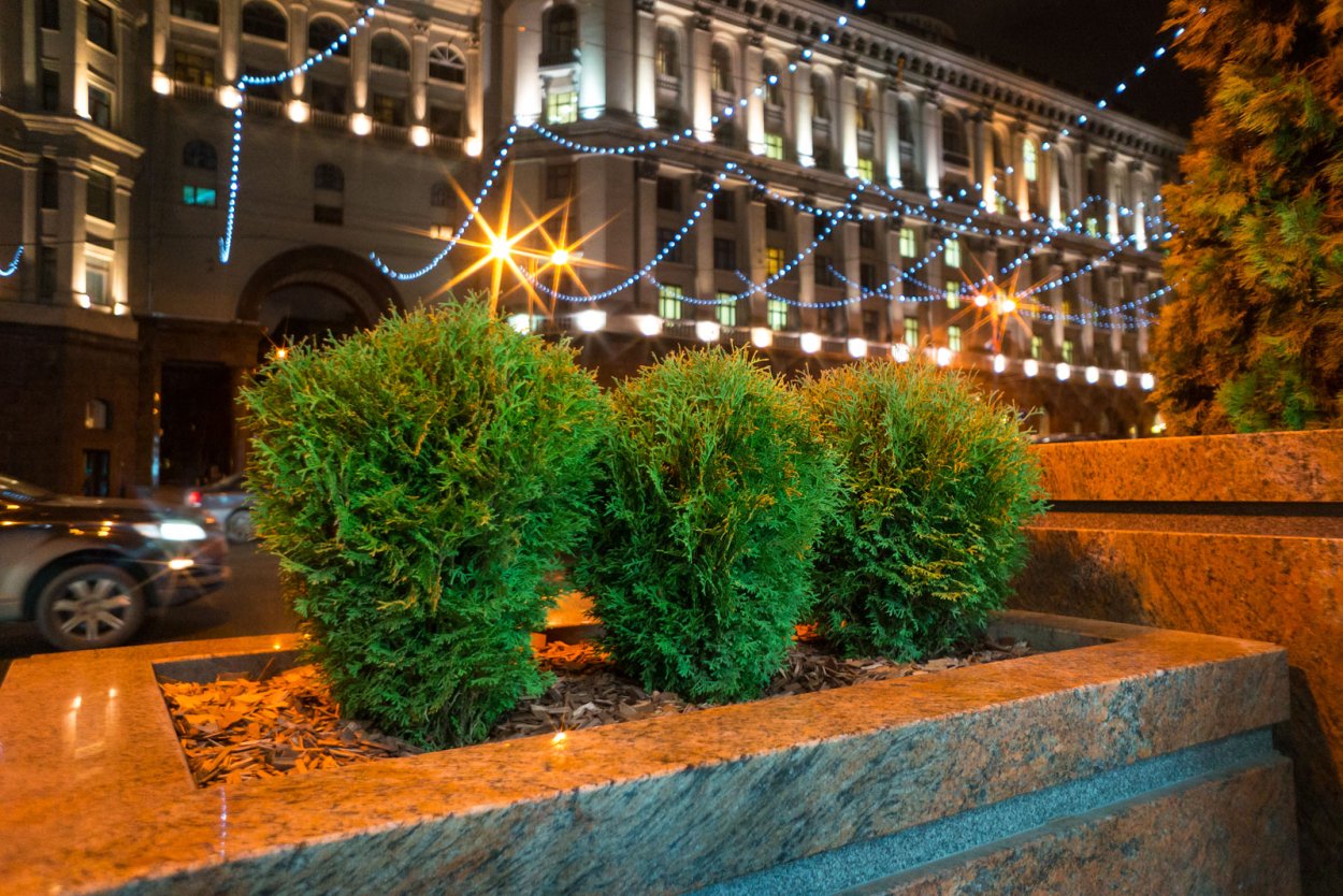 Тверская улица Озеленение