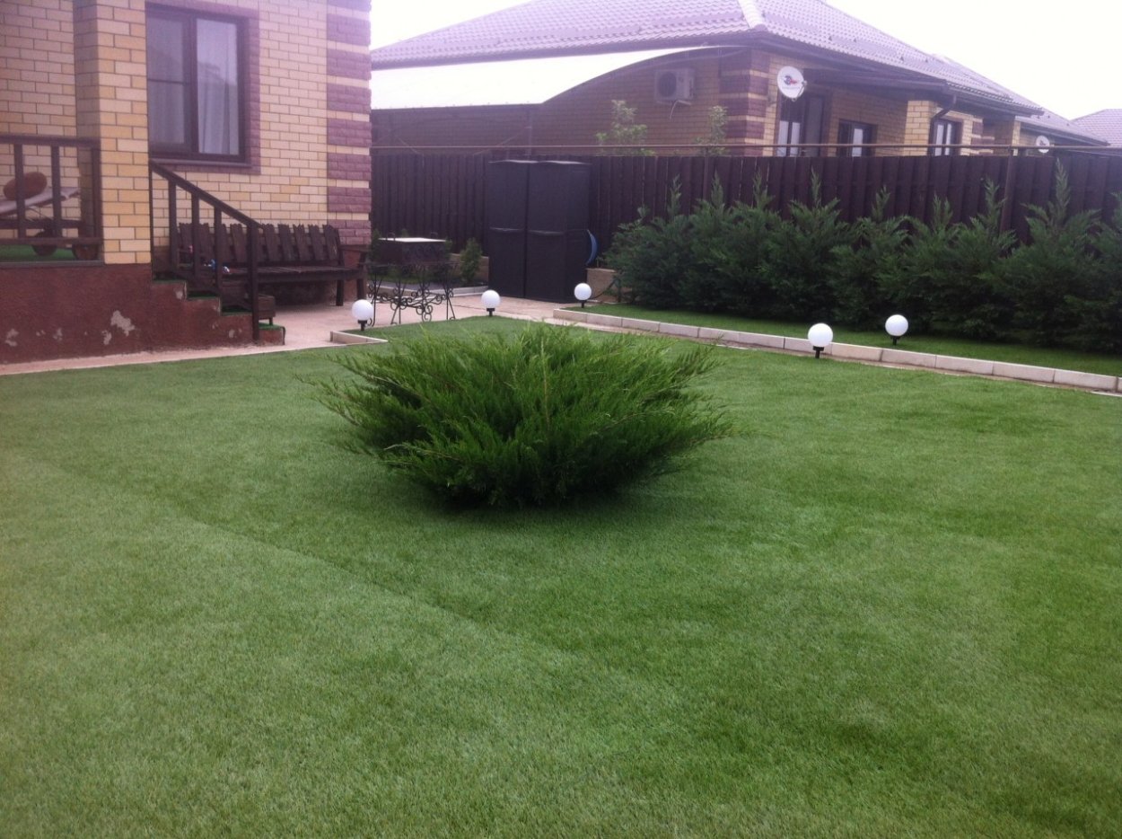 Можжевельник минт джулеп