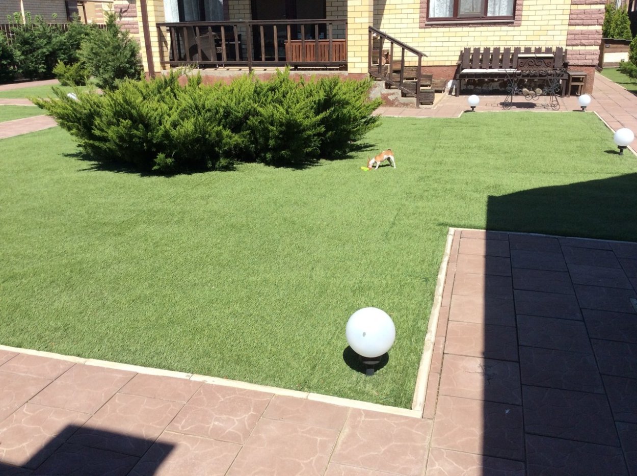 Минт джулеп в ландшафтном