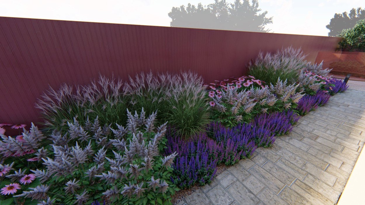 Вечнозеленый иссоп в ландшафте