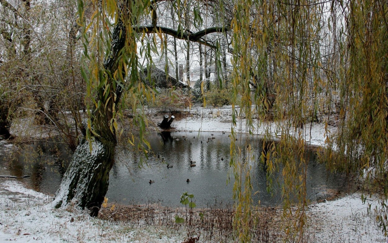 Весна лес река