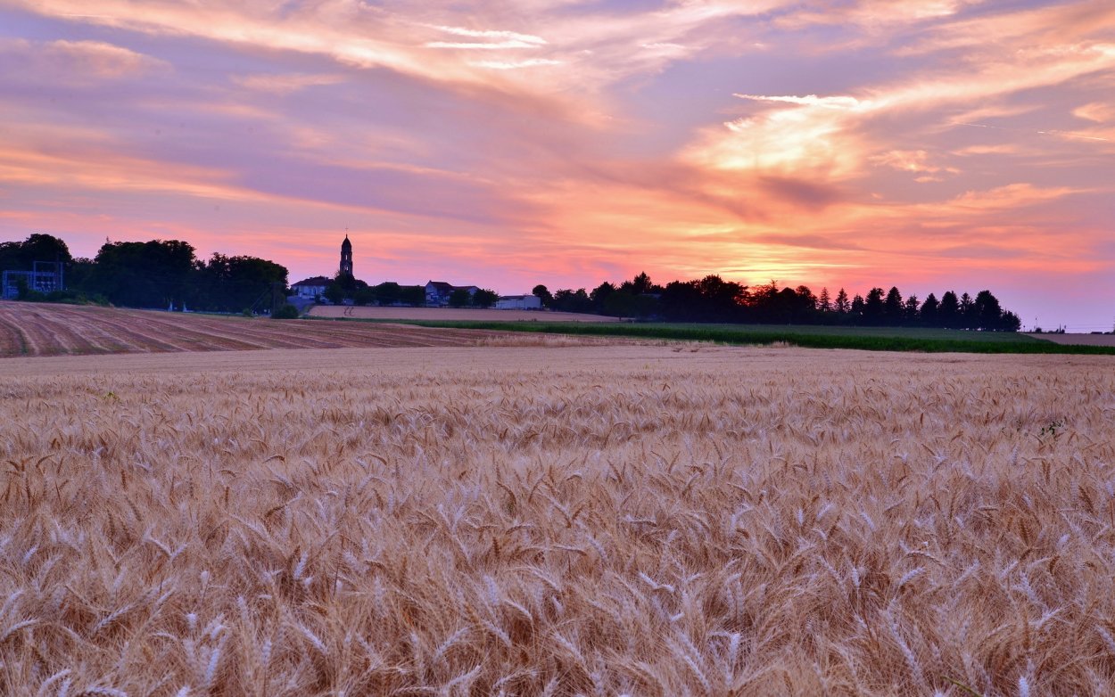 Эстетичный фон поля