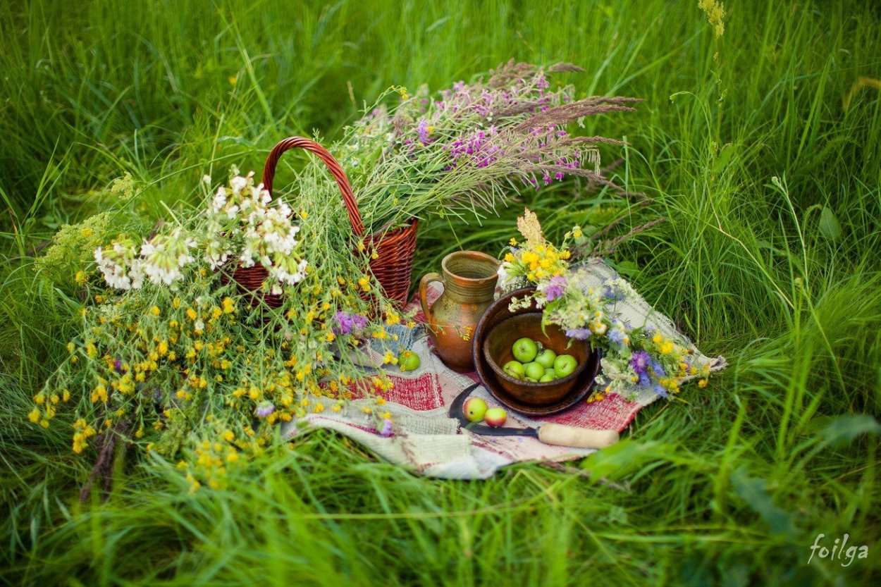 Натюрморт на траве