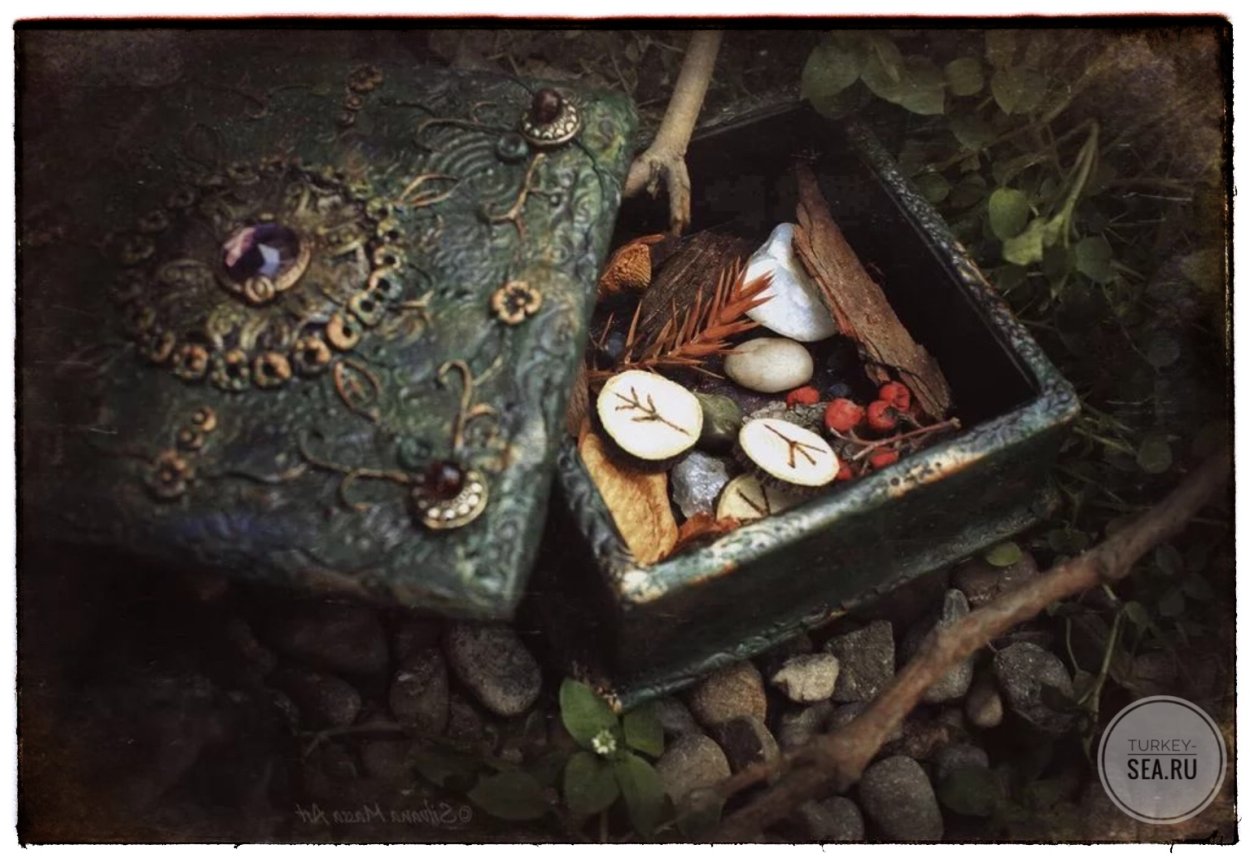 Обитель Лесной ведьмы травник