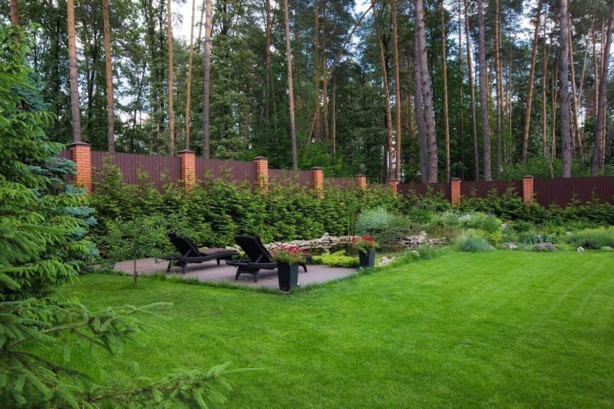 Ландшафт лесного участка 30 соток