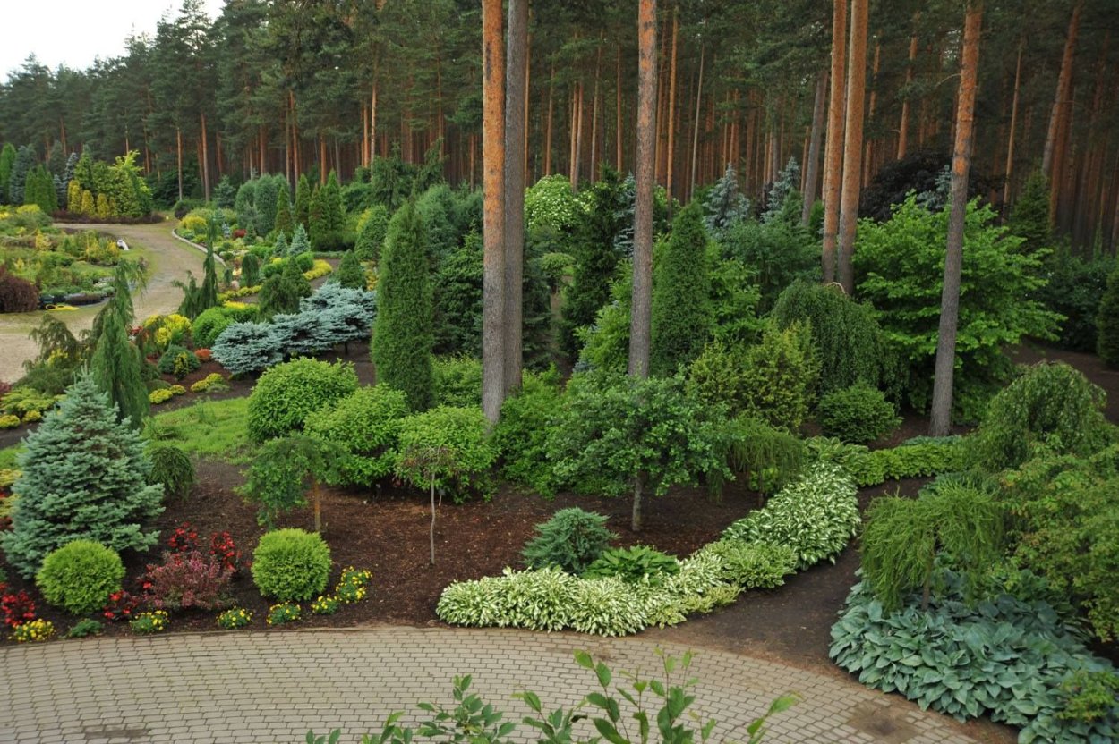 Лесной массив landshaft