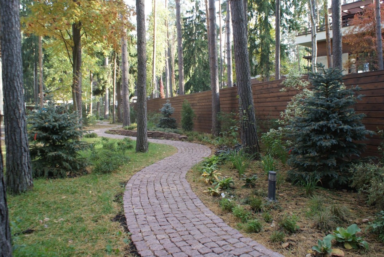 Парковая зона «Сосновый Бор