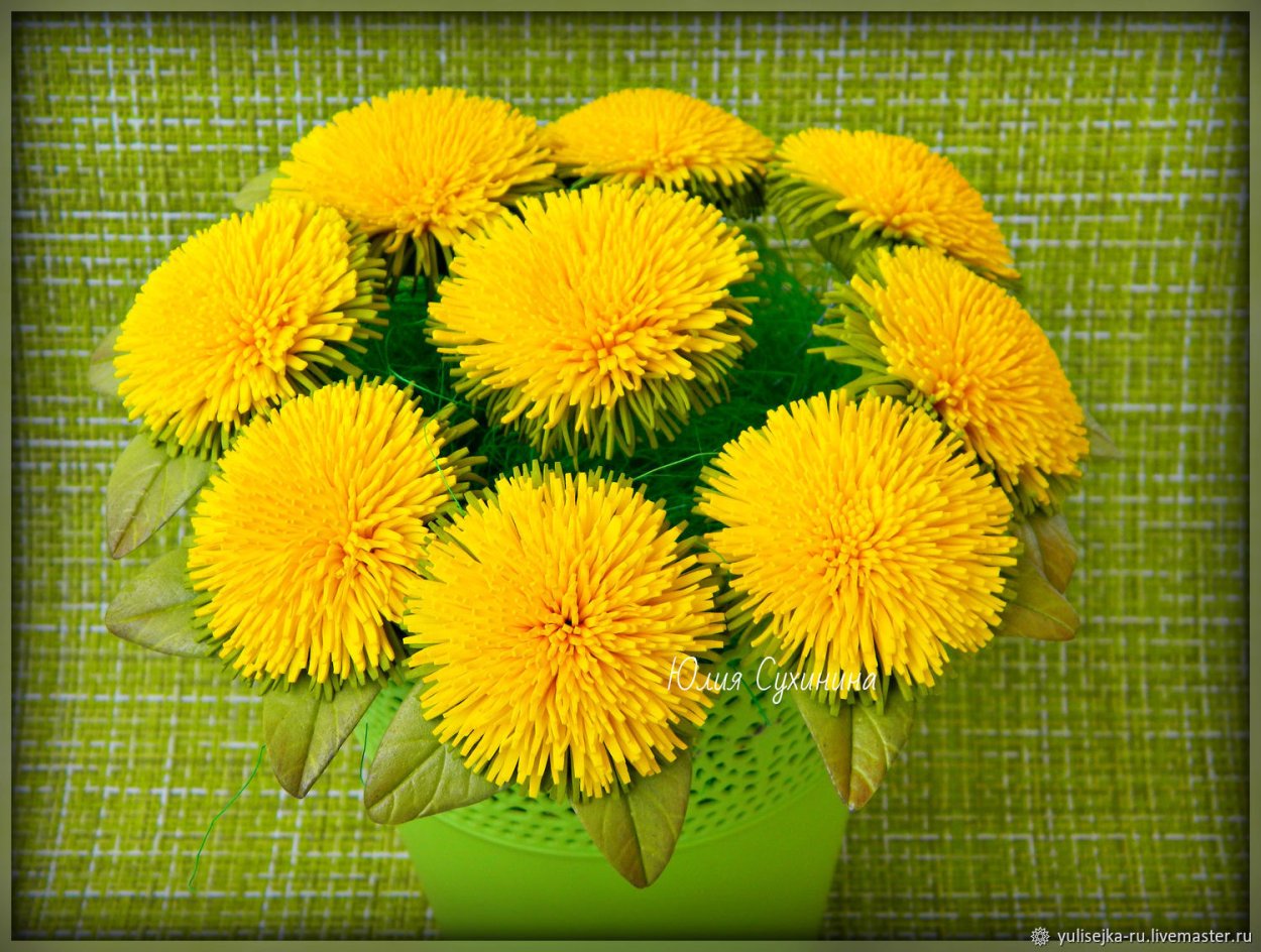 Для одуванчиков фоамирана