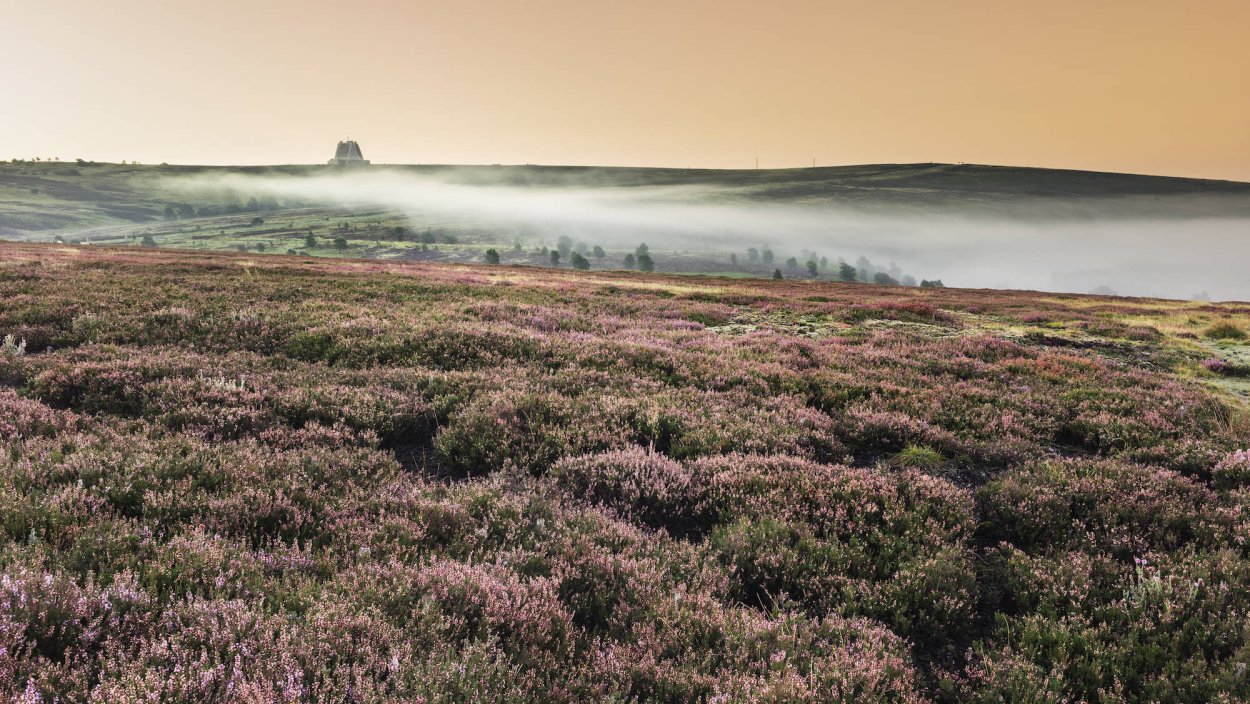 Вересковая Пустошь Раннох