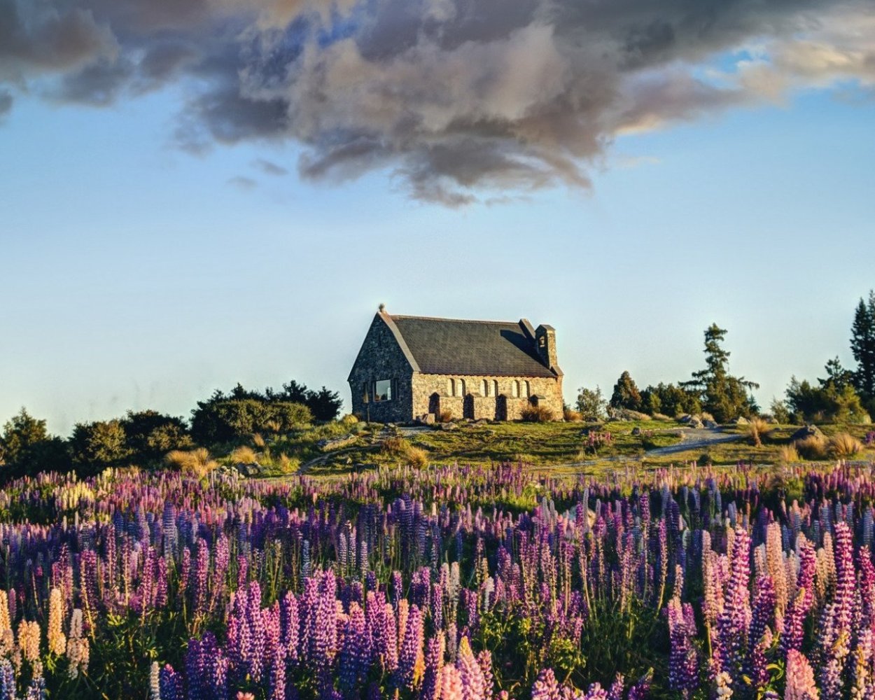 Дом в поле с цветами