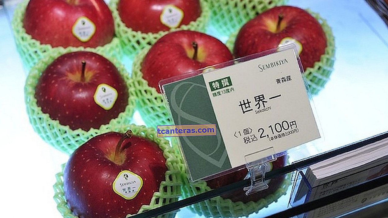 Яблоках сорта Sekai-Ichi