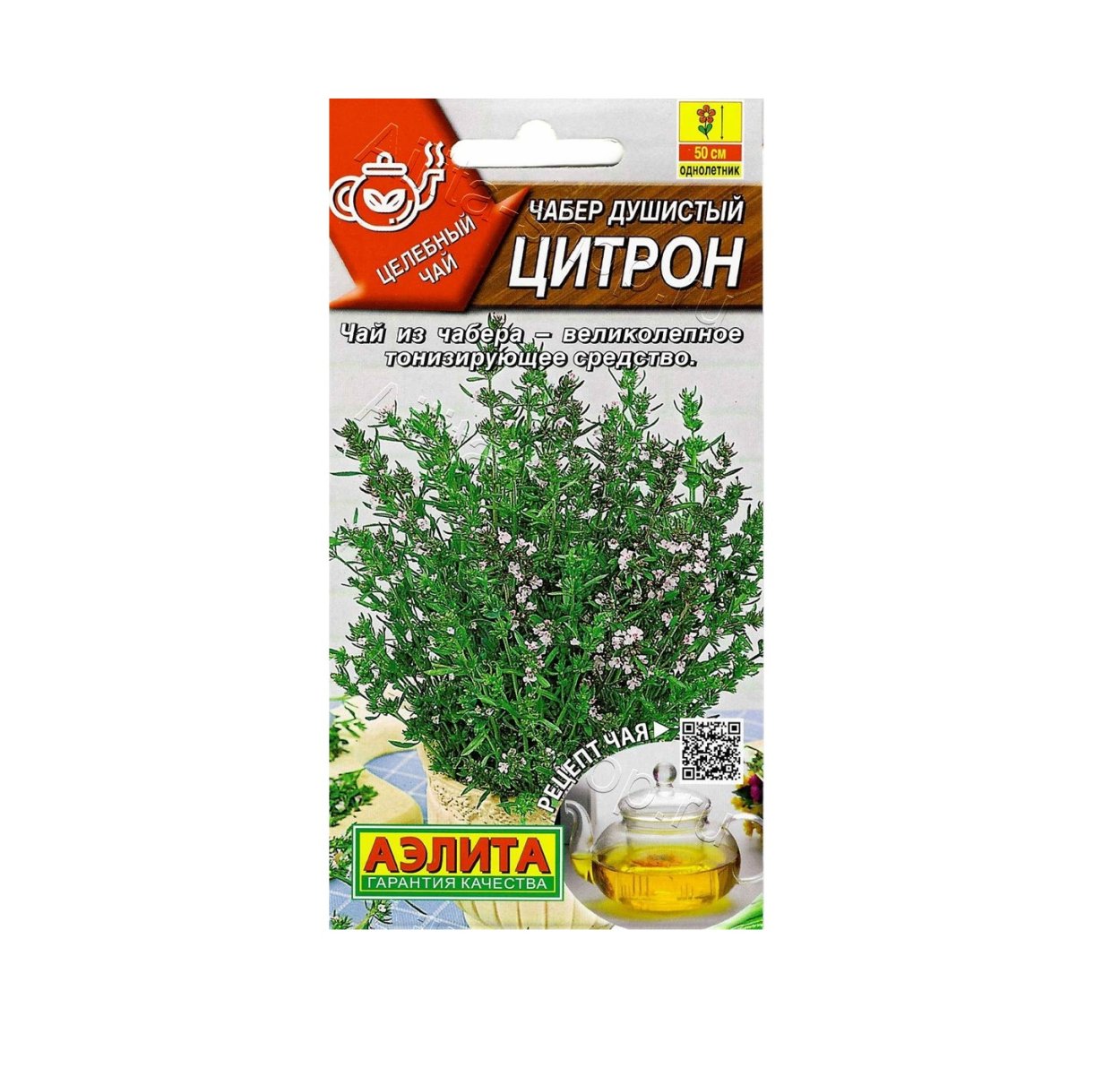 Чабер огородный ароматный СЕДЕК