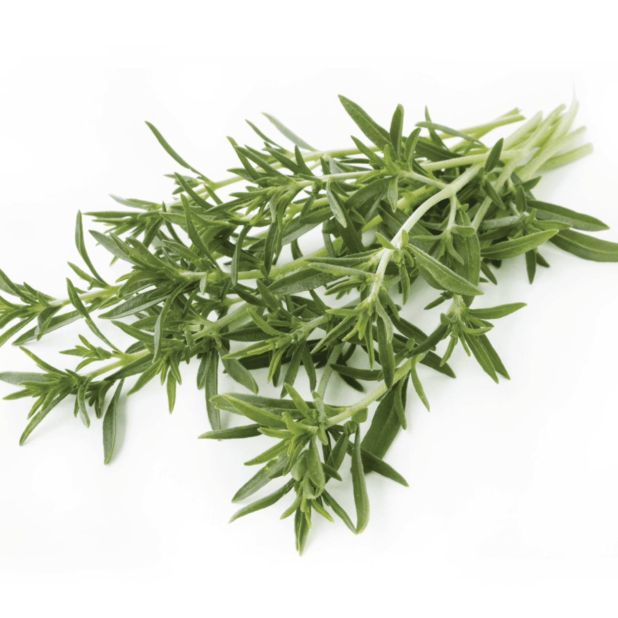 Кондари Цитрон