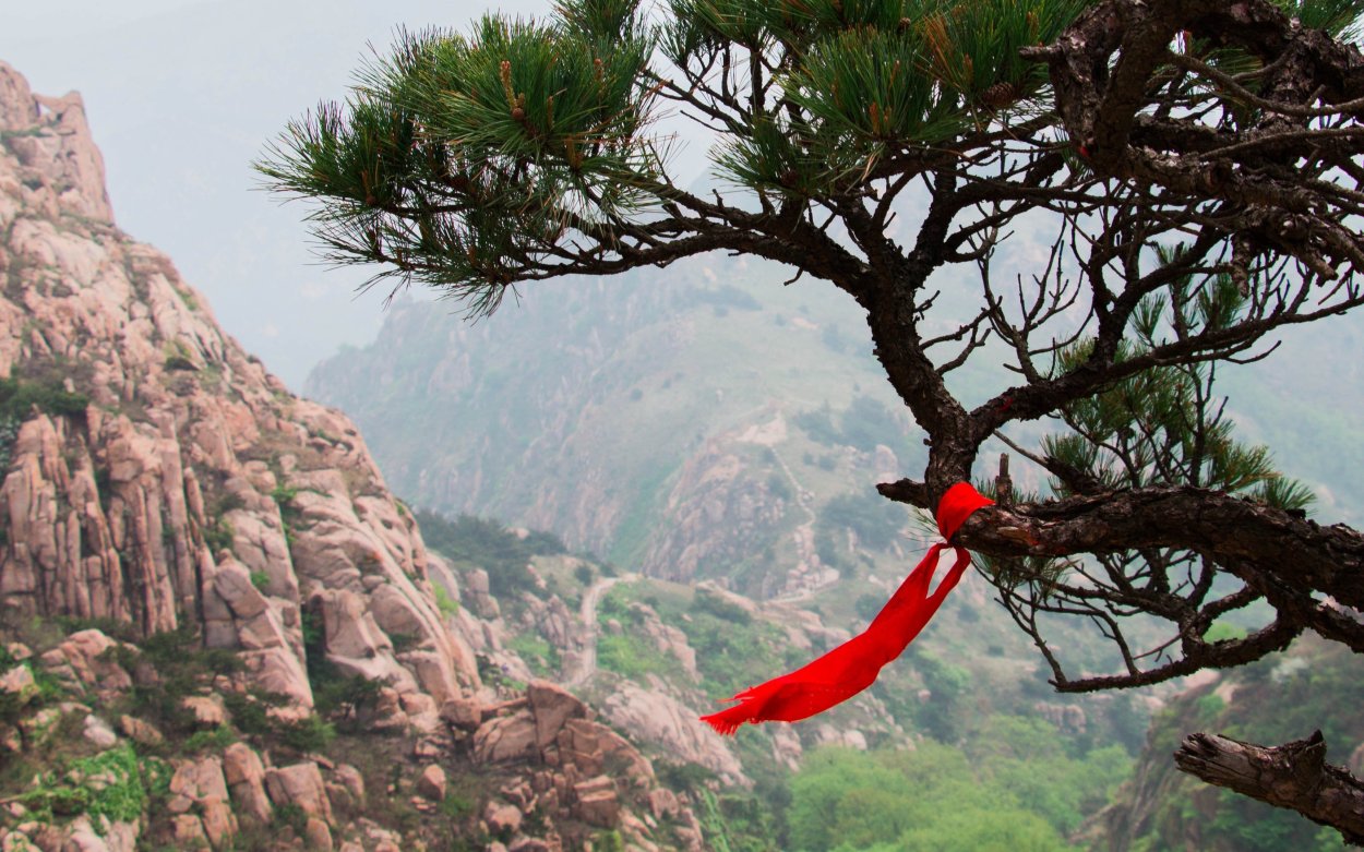 Дерево с ленточками