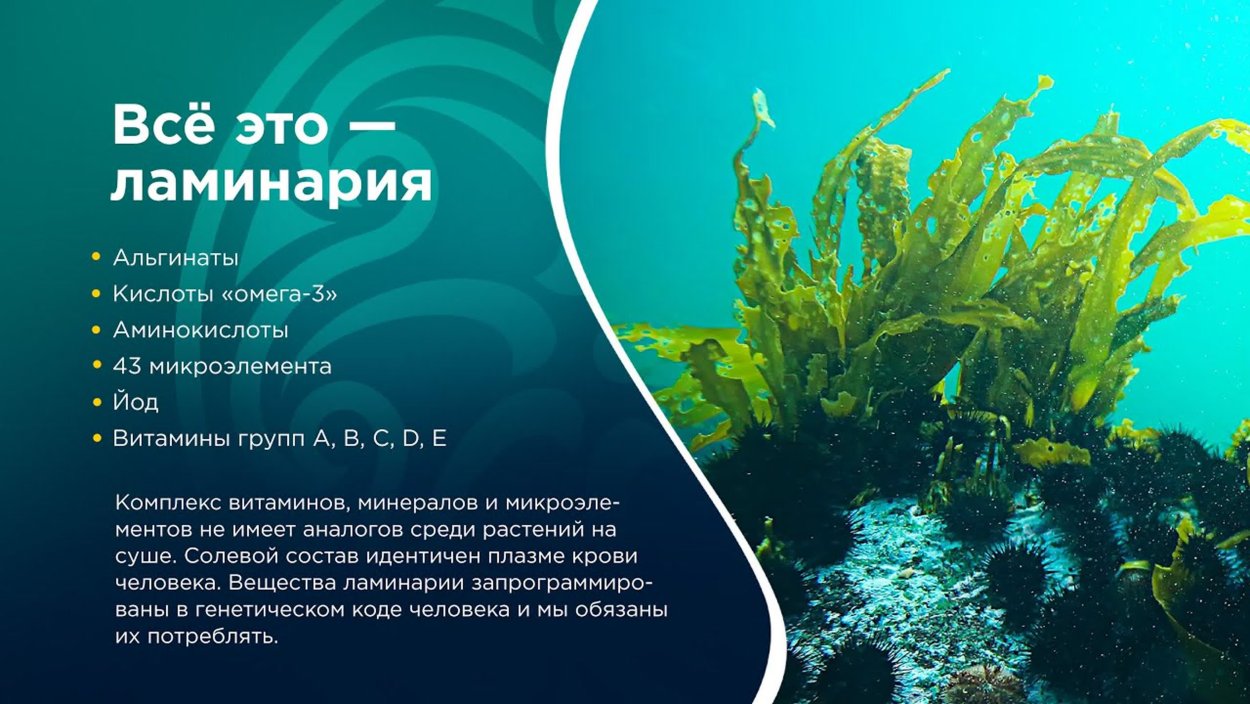 Водоросли в организме человека