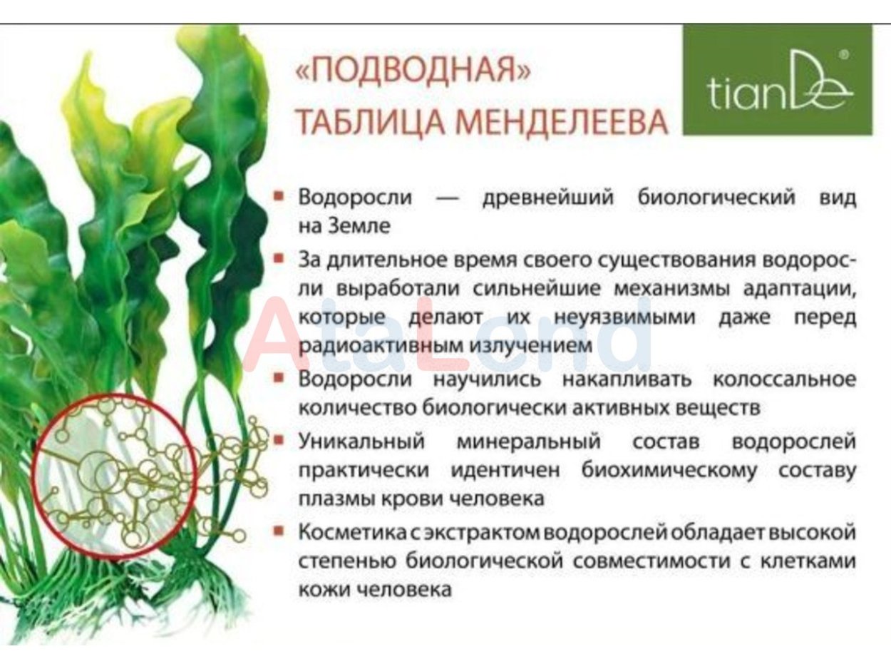 Лекарственные водоросли