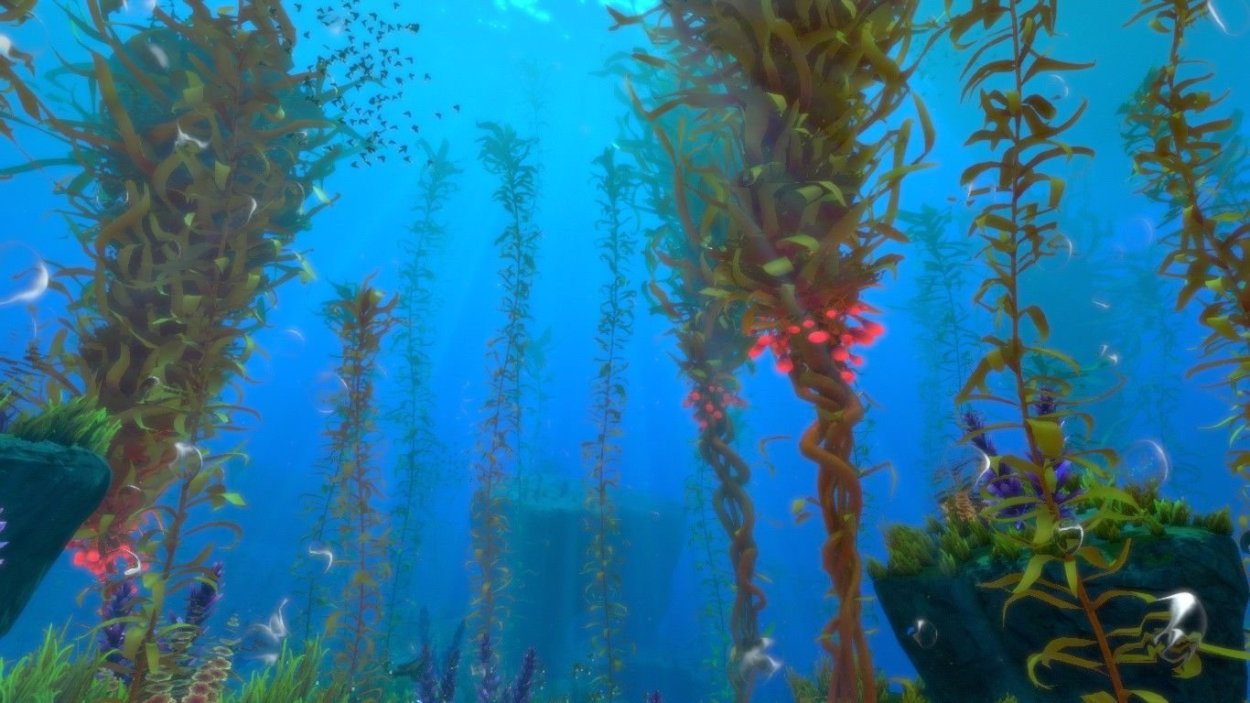 Планктонные водоросли в Арктике