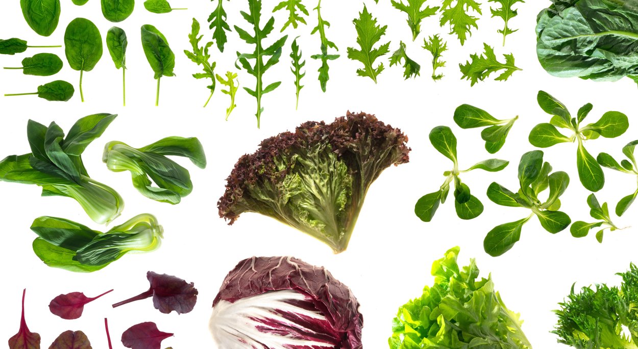 Зеленые продукты