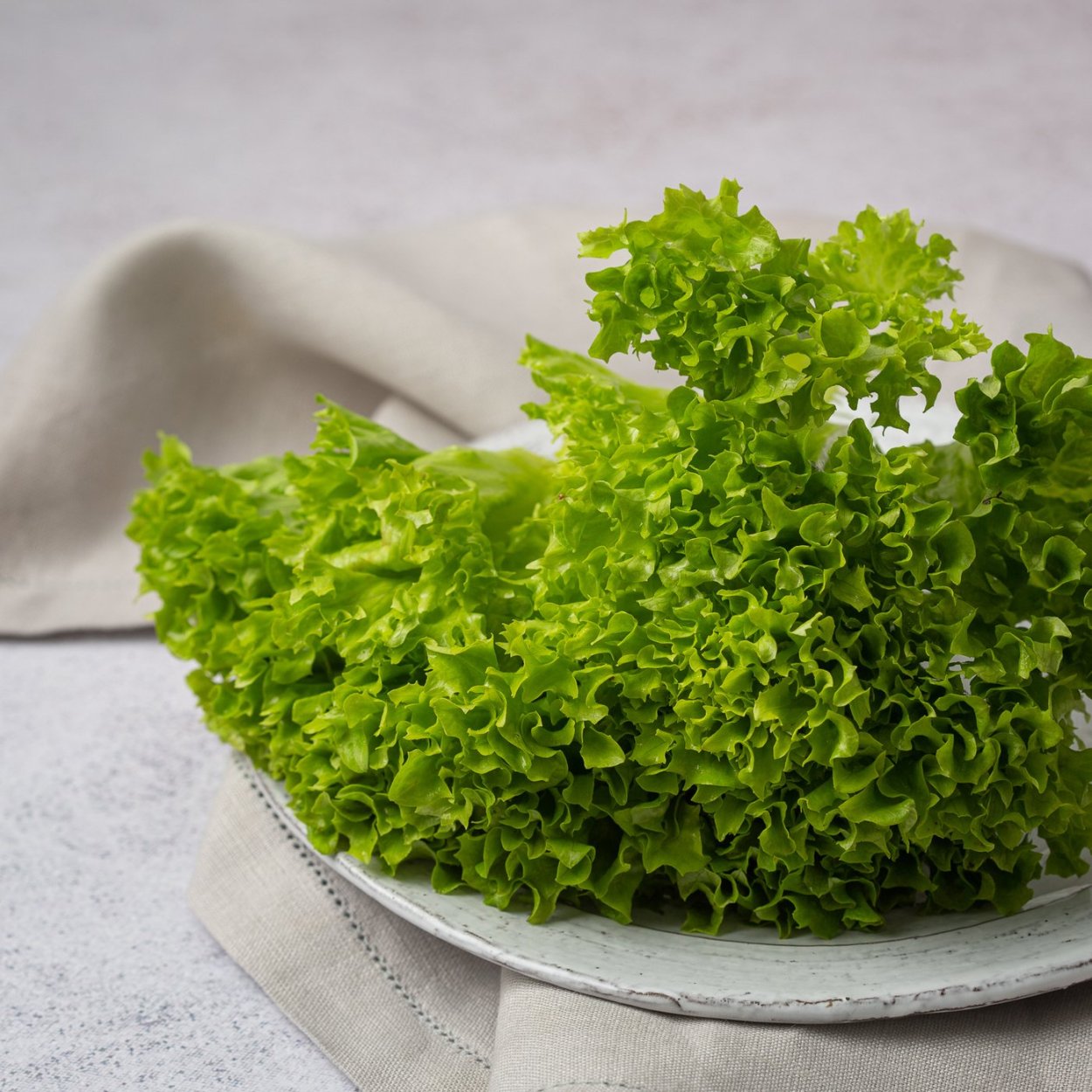 Салатная зелень