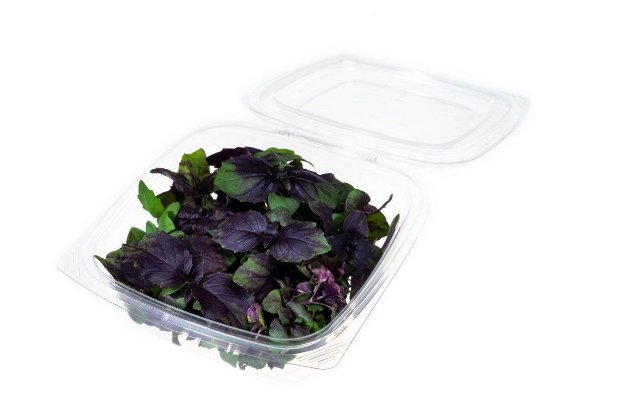 Микрозелень базилика