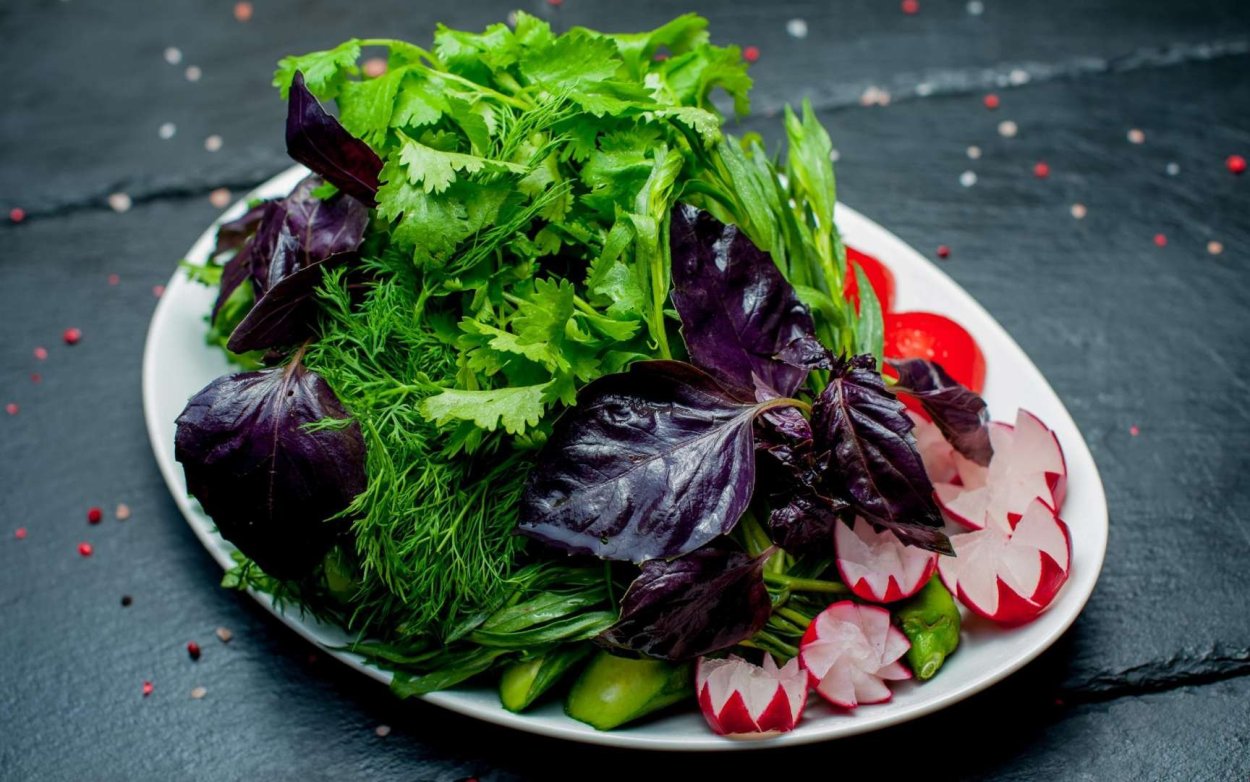 Петрушка базилик кинза