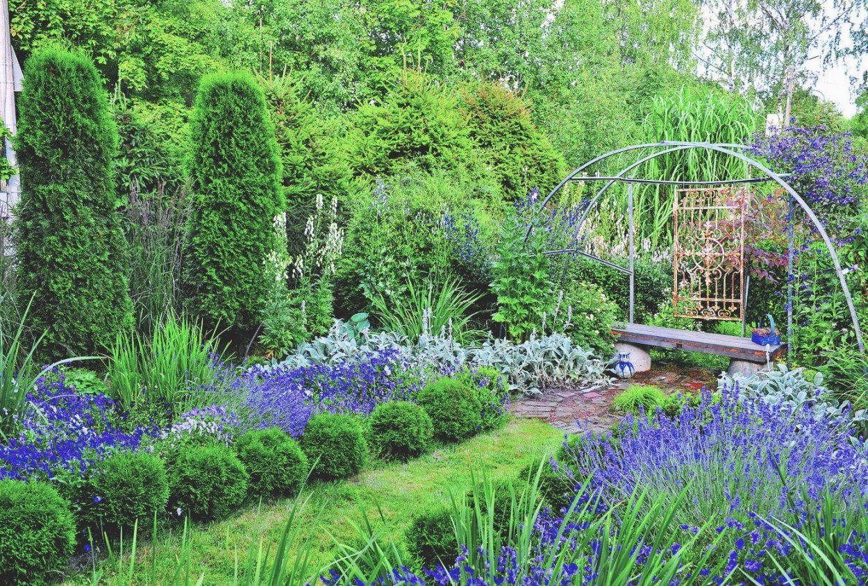 Сад Ирины Пыжиковой в Тярлево